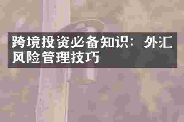 跨境投资必备知识：外汇风险管理技巧