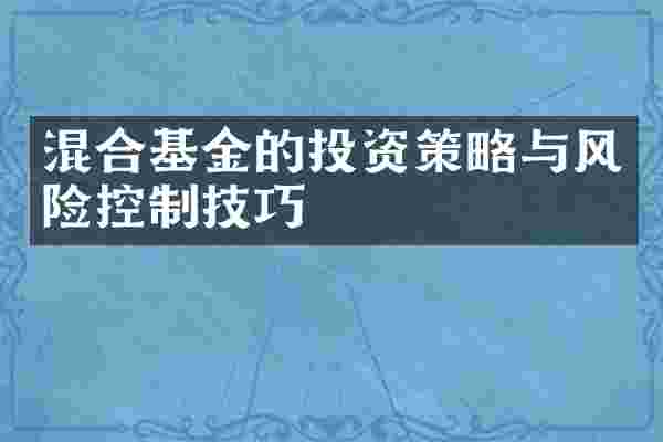 混合基金的投资策略与风险控制技巧