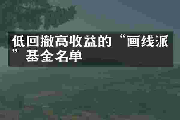 低回撤高收益的“画线派”基金名单