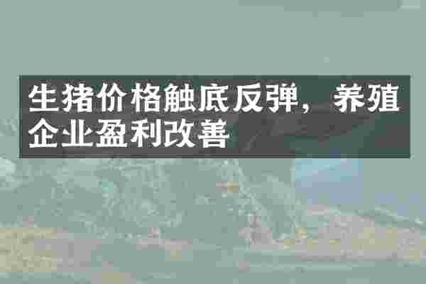 生猪价格触底反弹，养殖企业盈利改善