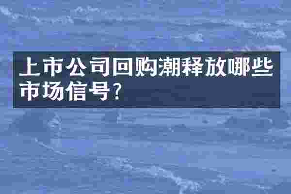 上市公司回购潮释放哪些市场信号？