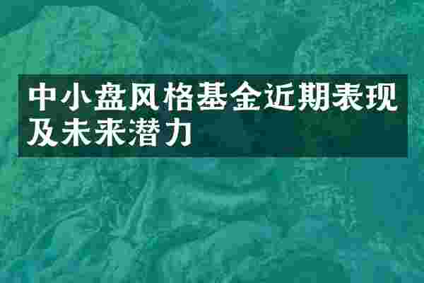 中小盘风格基金近期表现及未来潜力