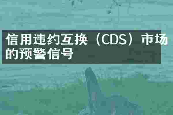 信用违约互换（CDS）市场的预警信号