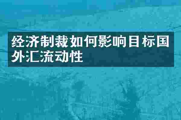 经济制裁如何影响目标国外汇流动性