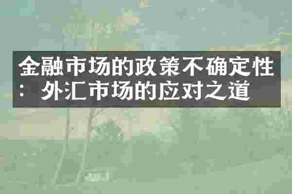 金融市场的政策不确定性：外汇市场的应对之道