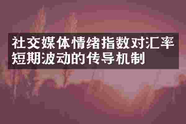 社交媒体情绪指数对汇率短期波动的传导机制