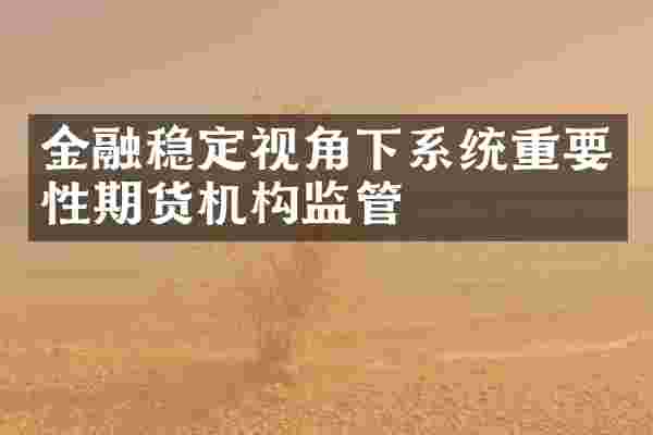 金融稳定视角下系统重要性期货机构监管