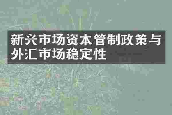 新兴市场资本管制政策与外汇市场稳定性