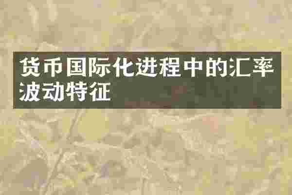 货币国际化进程中的汇率波动特征