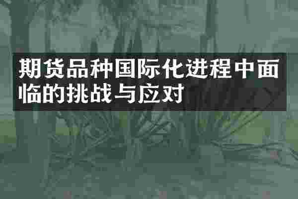 期货品种国际化进程中面临的挑战与应对
