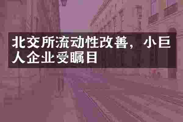 北交所流动性改善,小巨人企业受瞩目
