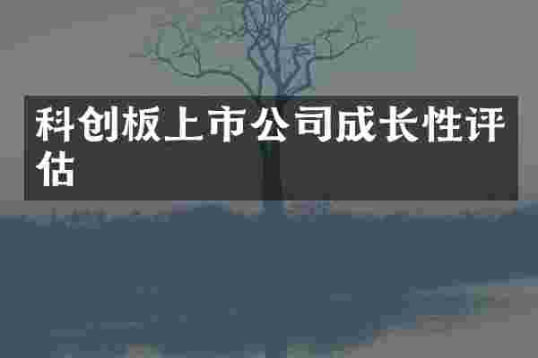 科创板上市公司成长性评估