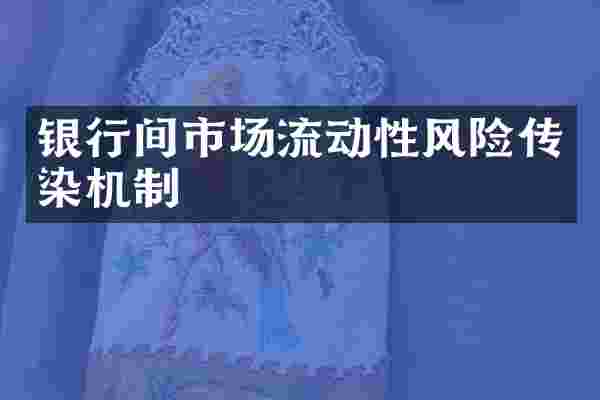 银行间市场流动性风险传染机制